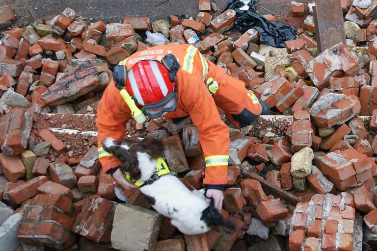 Winbourne_Consulting_International_Public_Safety